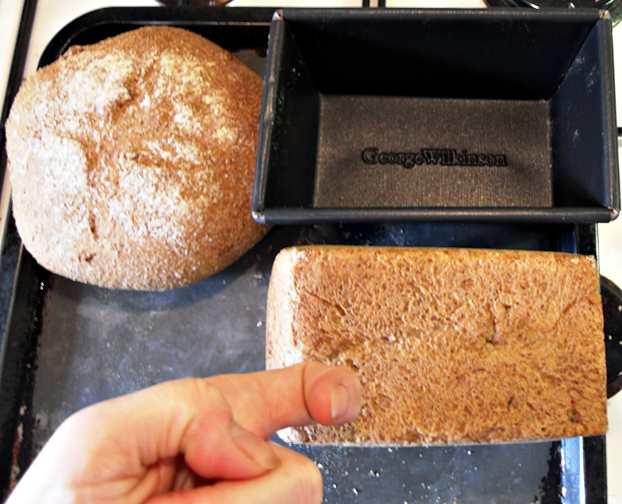 Walnutty Wholemeal Bread being knocked underneath with back of finger.