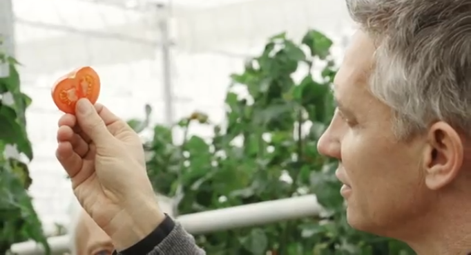 Gary Lineker with a tomato