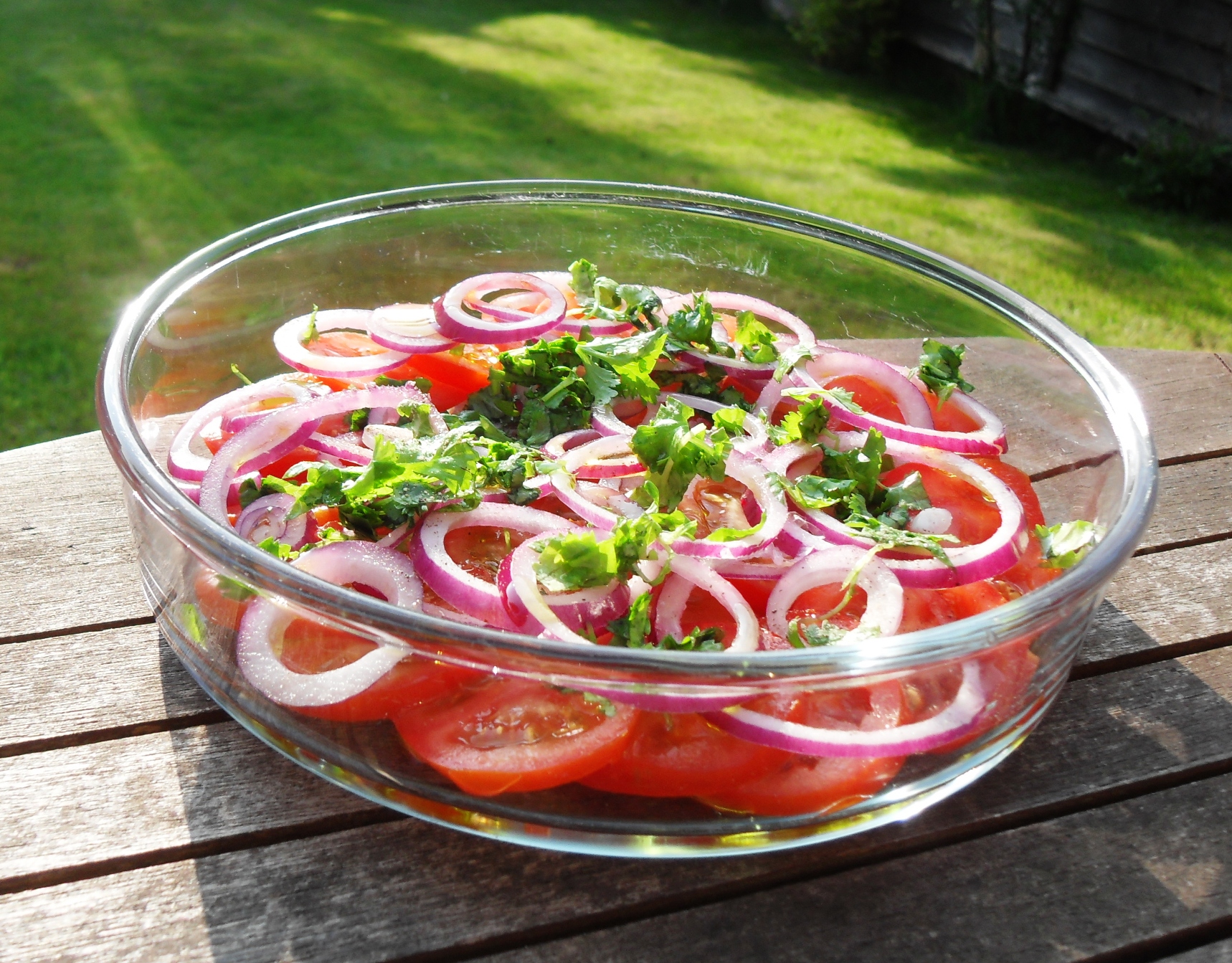 Ansøger Statistikker Fremmedgøre Tomato, Red Onion & Coriander Salad - Fab Food 4 All