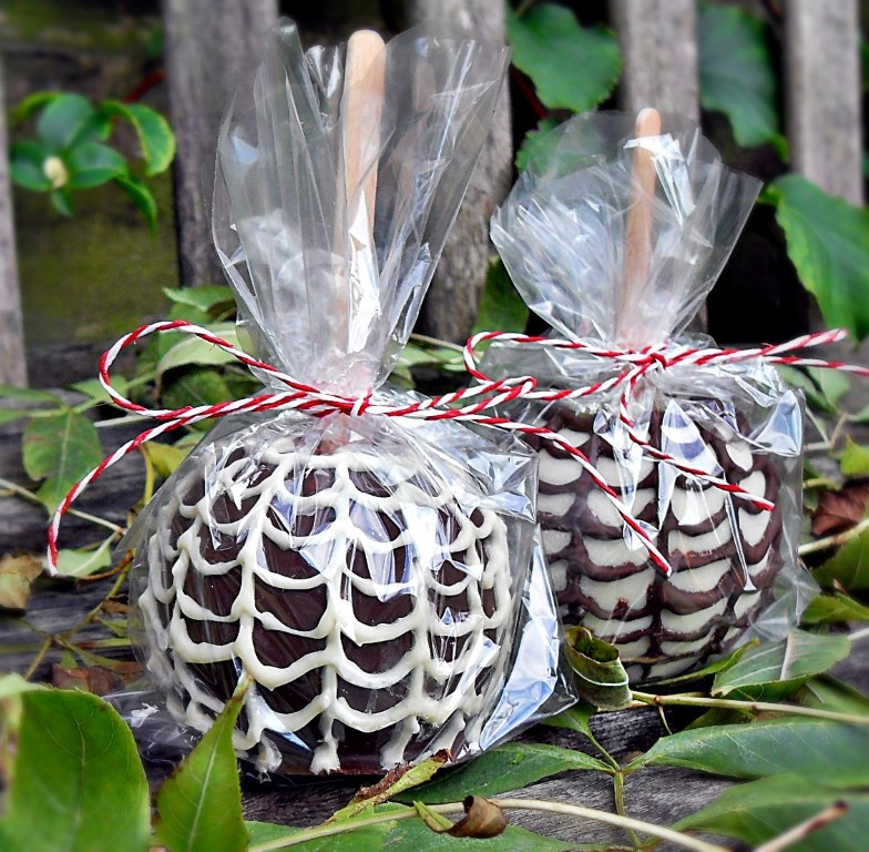 Halloween Chocolate Apples, Spider Web, bonfire night, toffee apples, halloween, kids, party favours, fall, healthy, snack