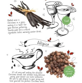 Just Ingredients 10 Ways to Spice Up Your Christmas, holidays, ingredients, tips, recipes,
