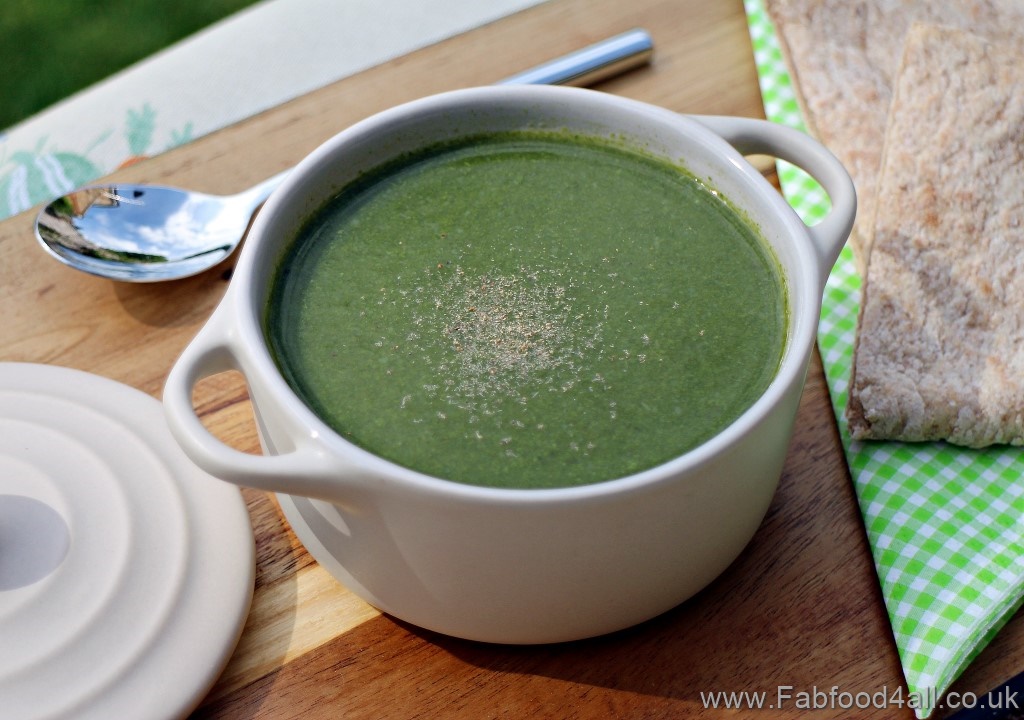 Simple Fat Free Spinach Soup