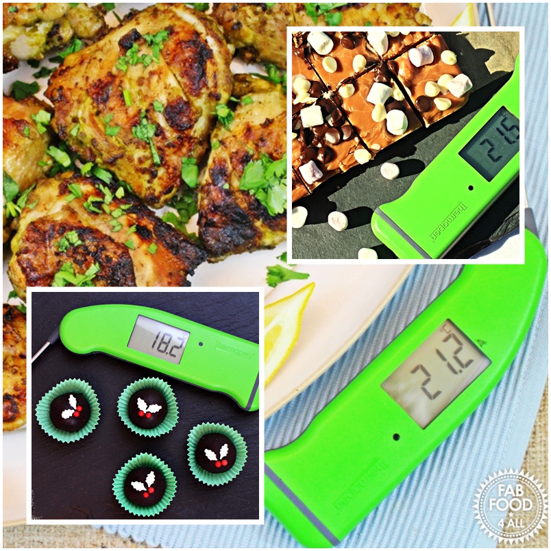 SuperFast Thermapent 4 Digital Thermometer Revew & Giveaway worth £60 - Fab Food 4 All