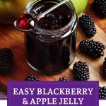 Blackberry & Apple Jelly Pinterest image.