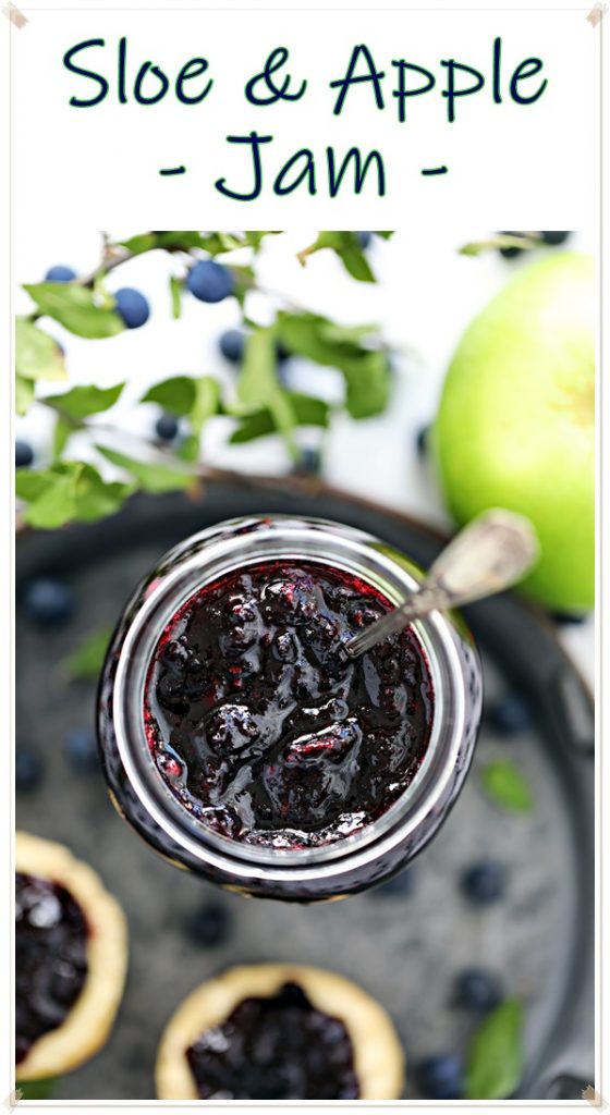 Sloe Apple Jam Video Tutorial Pitting Hacks Fab Food 4 All