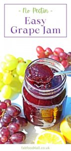 Easy Grape Jam - 3 ingredients &amp; no Pectin! Fab Food 4 All