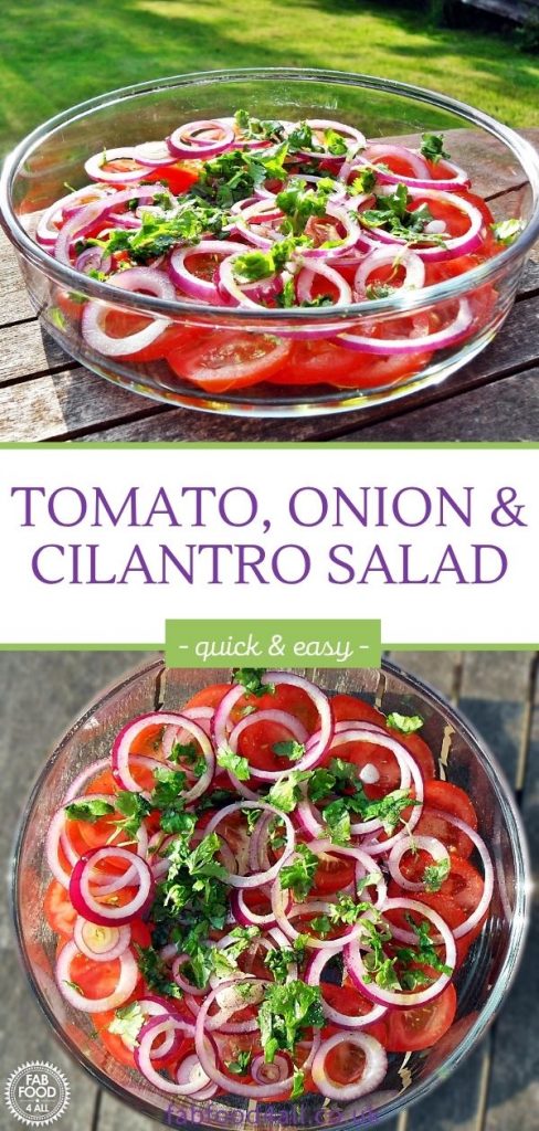 Tomato, Red Onion & Coriander Salad Pinterest Image.